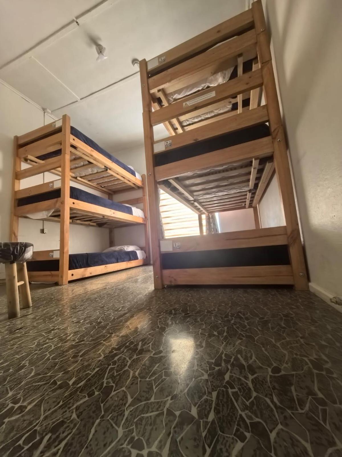Alojamiento Emilia House Punta Arenas Oda fotoğraf
